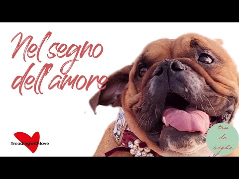 Un cane, un padre, un amore • Tra le righe: Nel segno dell'amore