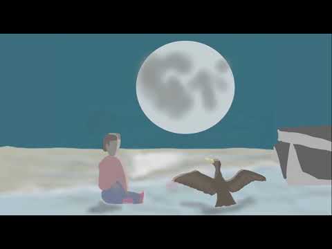 Il Bambino e il Cormorano • Booktrailer Ufficiale
